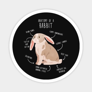 Rabbit Anatomy Magnet